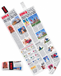 KONG Daily – XXL Zeitungsspielzeug mit 6 Quietschern & Knisterfolie