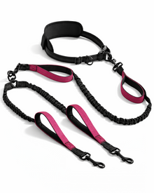 2-in-1 Hands-Free Double Leash for Dogs – Multifunctional Nylon Running & Walking Belt