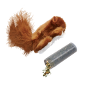 Eichhörnchen