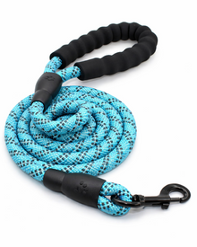 Reflective Braided Nylon Dog Leash – Robust Lead for Active Dogs