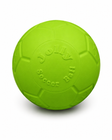 Jolly Pets Mini Soccer Ball Hundeball