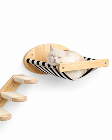 Katzen-Wandkletterset aus Kiefernholz – Hängematte & Sisal-Treppe