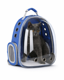 Space Backpack with a Clear View