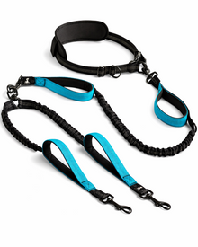 2-in-1 Hands-Free Double Leash for Dogs – Multifunctional Nylon Running & Walking Belt