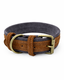 Contrast-design nubuck leather dog collar