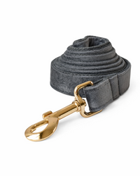 Velvet Dog Collar Set in Silver Grey with Leash & Bow Tie - Elegant Velvet Set with Gold-Colored Details