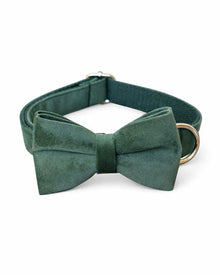 Green velvet set for dogs
