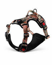 LED-Hundegeschirr – USB-aufladbares Sicherheitsgeschirr mit Leuchtfunktion