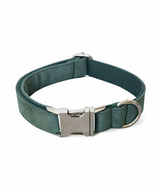 Green velvet set for dogs