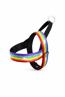 Regenbogen Hundegeschirr & Leine