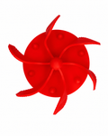 Rot