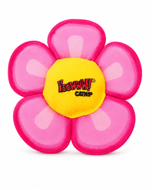 Yeowww! Daisy’s Flower Tops Katzenspielzeug - Blume mit Katzenminze & Knisterblättern