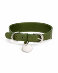 Halsband Grün