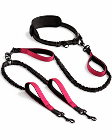 2-in-1 Hands-Free Double Leash for Dogs – Multifunctional Nylon Running & Walking Belt