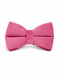 Fliege Rosa