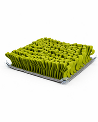 💚 Compact sniffing fun for clever noses