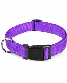 Outdoor Hunde-Halsband aus Nylon