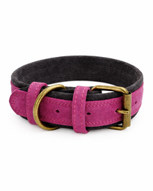 Contrast-design nubuck leather dog collar