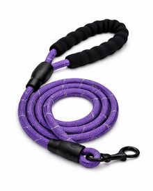 Reflective Braided Nylon Dog Leash – Robust Lead for Active Dogs