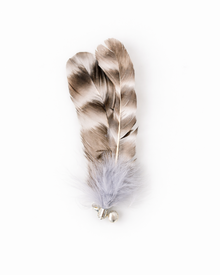 Suction Cup Cat Wand with Feather Attachment